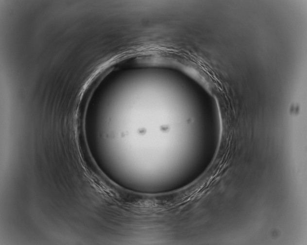 X0000100330244200806051541