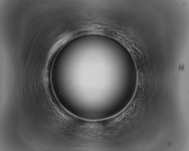 X0000100330245200806051541