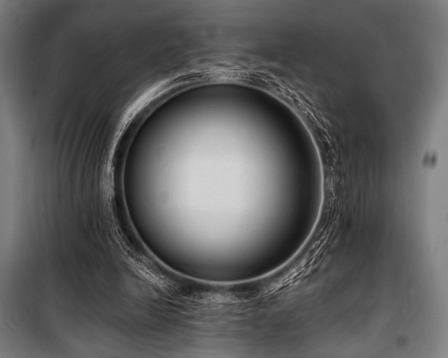 X0000100330246200806051541