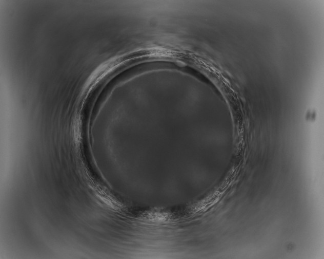 X0000100330247200806051541