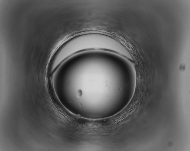 X0000100330248200806051541