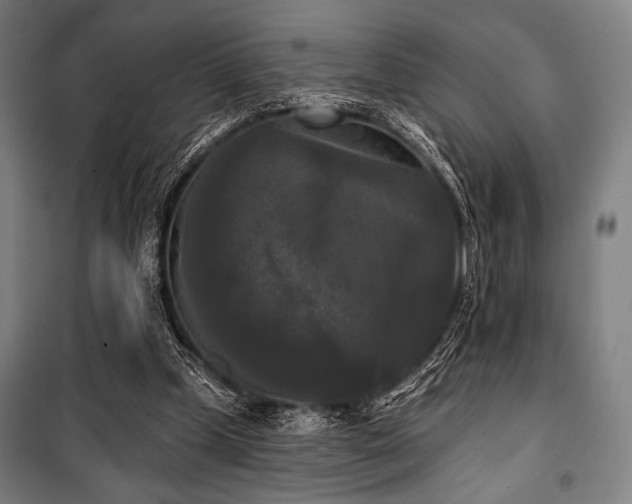 X0000100330249200806051541