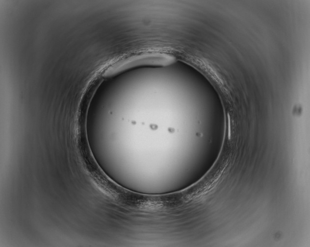 X0000100330252200806051541