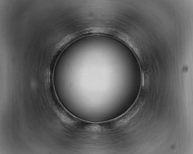 X0000100330253200806051541