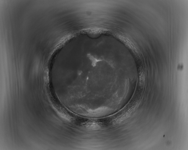 X0000100330254200806051541