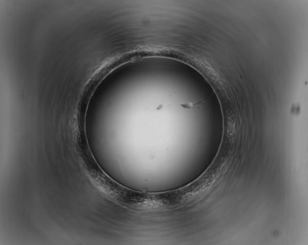 X0000100330256200806051541