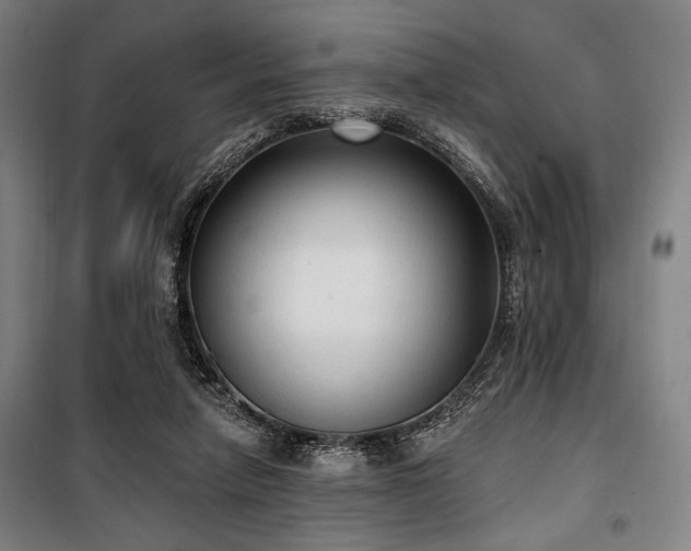 X0000100330258200806051541