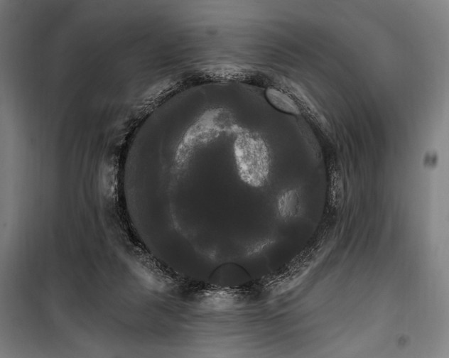 X0000100330259200806051541