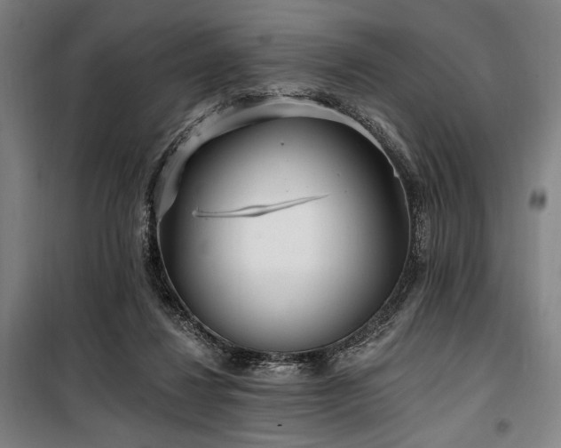 X0000100330260200806051541