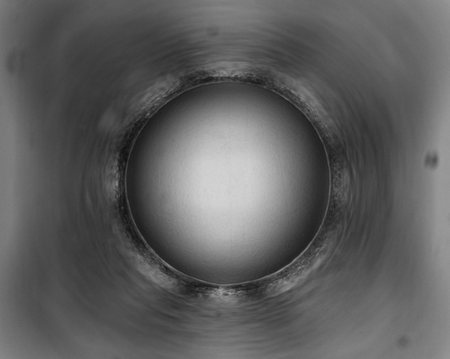 X0000100330261200806051541