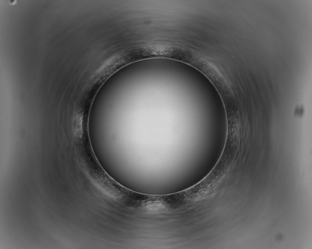 X0000100330262200806051541