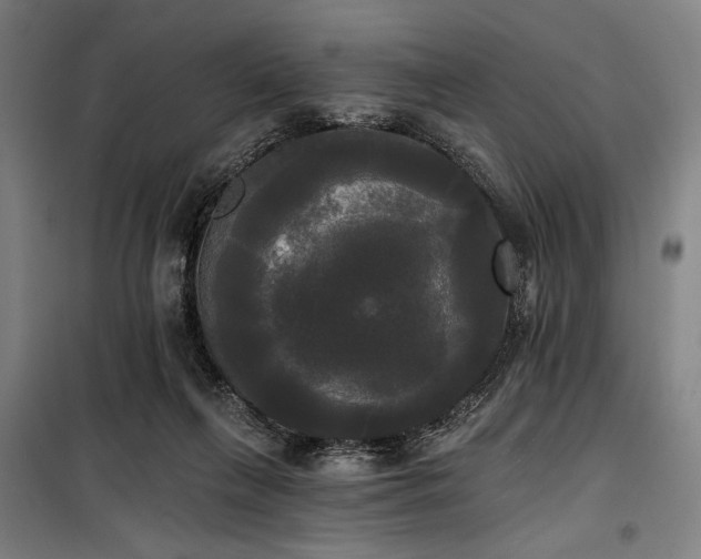 X0000100330263200806051541