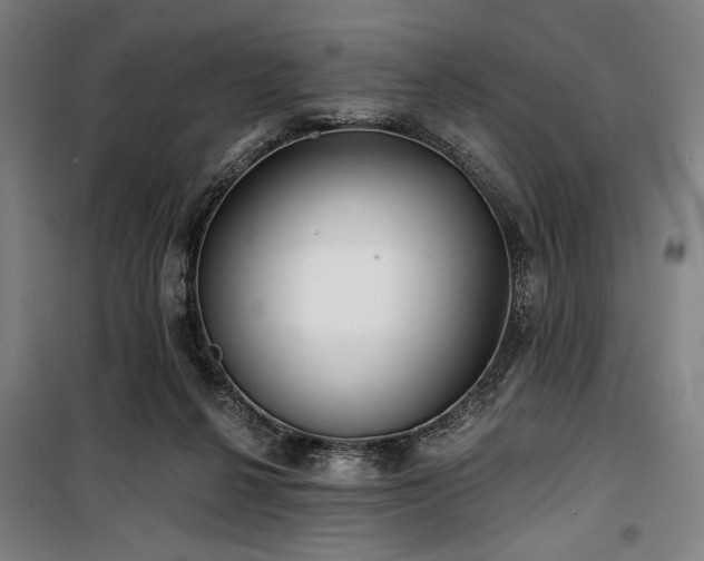 X0000100330264200806051541