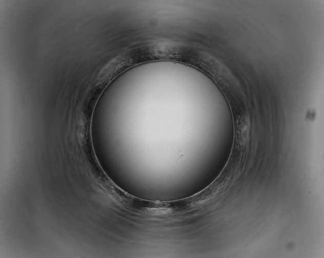 X0000100330266200806051541