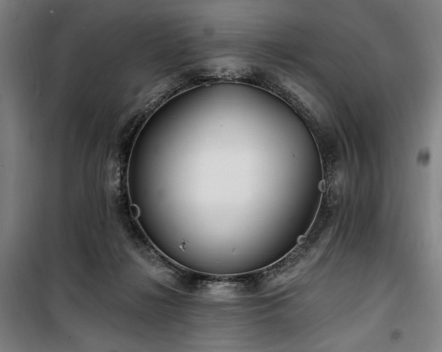 X0000100330268200806051541