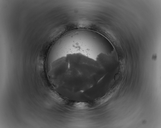 X0000100330269200806051541