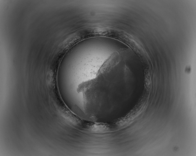 X0000100330270200806051541