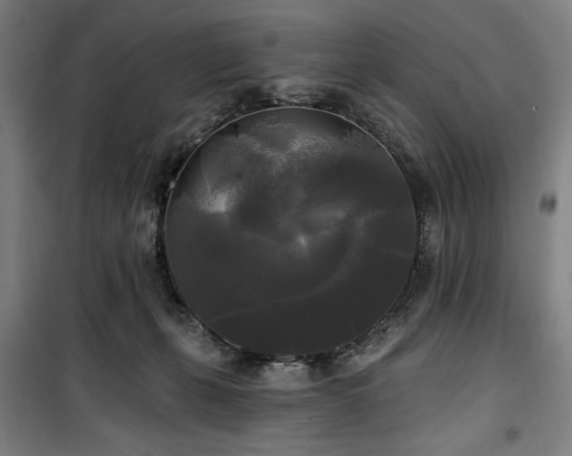 X0000100330271200806051541