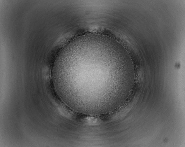 X0000100330272200806051541