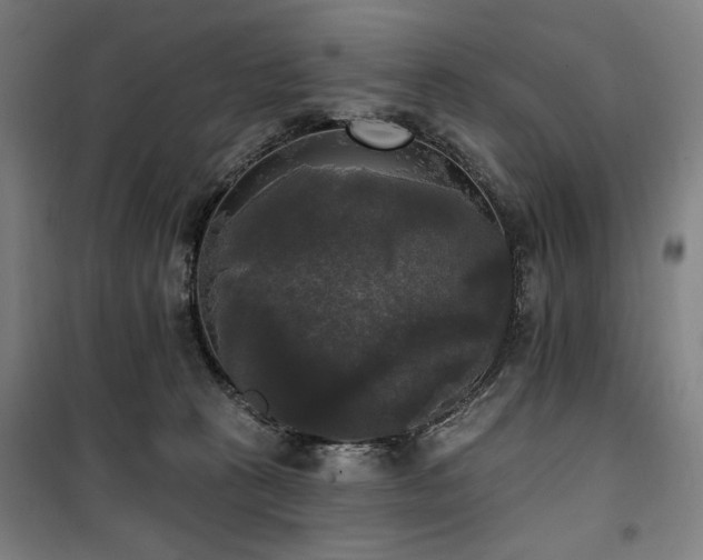 X0000100330273200806051541