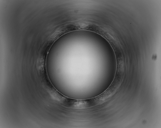 X0000100330274200806051541