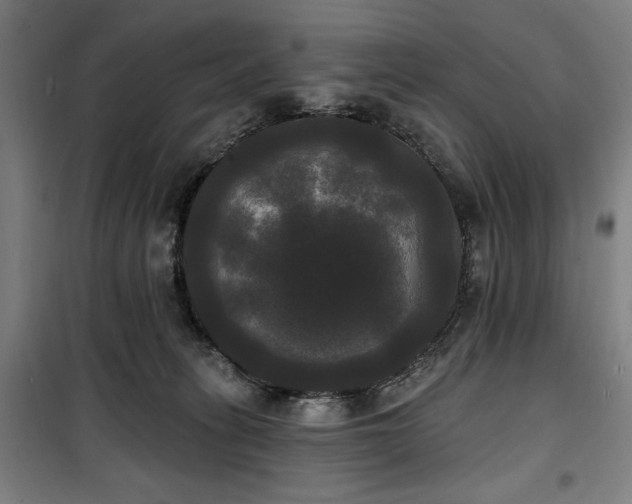 X0000100330275200806051541