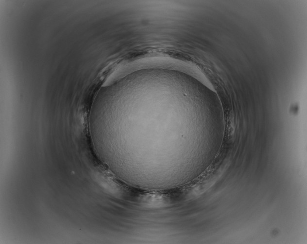 X0000100330276200806051541