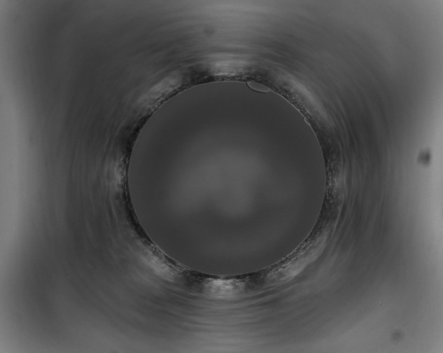 X0000100330277200806051541