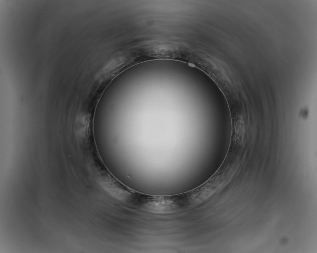 X0000100330278200806051541