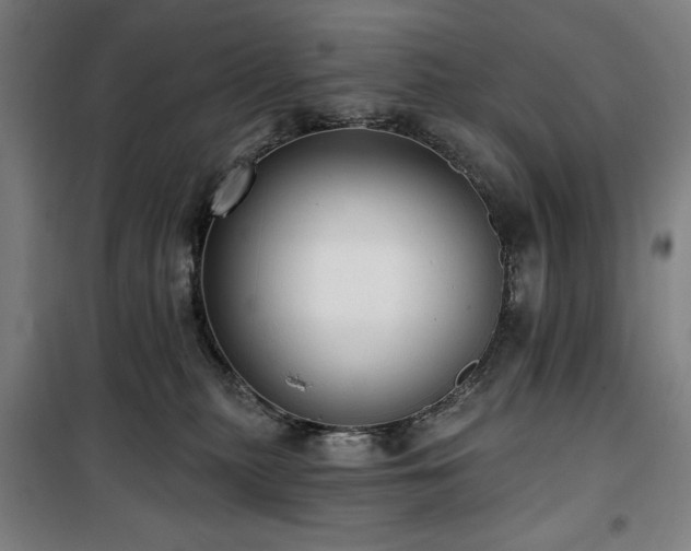 X0000100330279200806051541