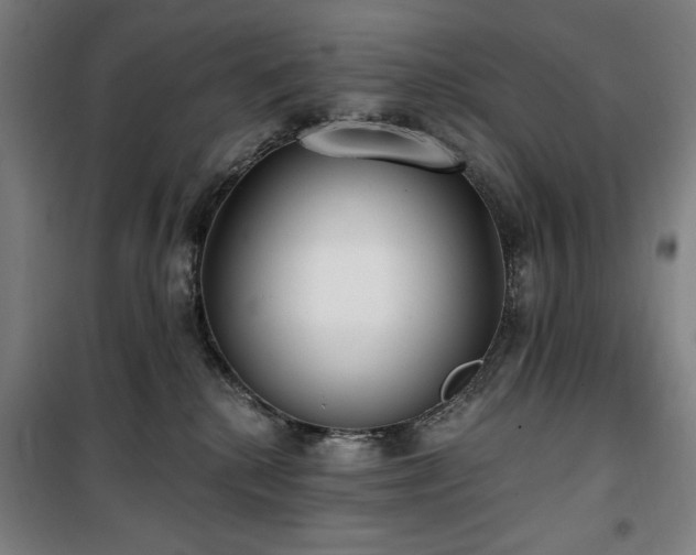 X0000100330280200806051541