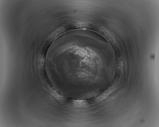 X0000100330281200806051541