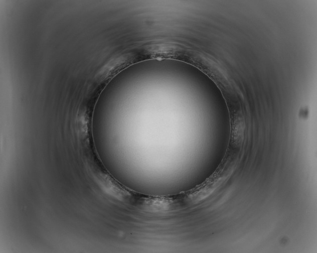 X0000100330282200806051541