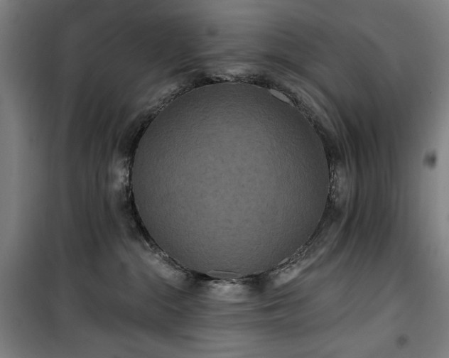 X0000100330284200806051541