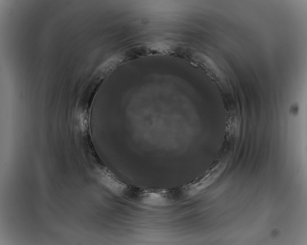 X0000100330285200806051541