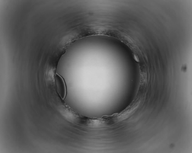 X0000100330286200806051541