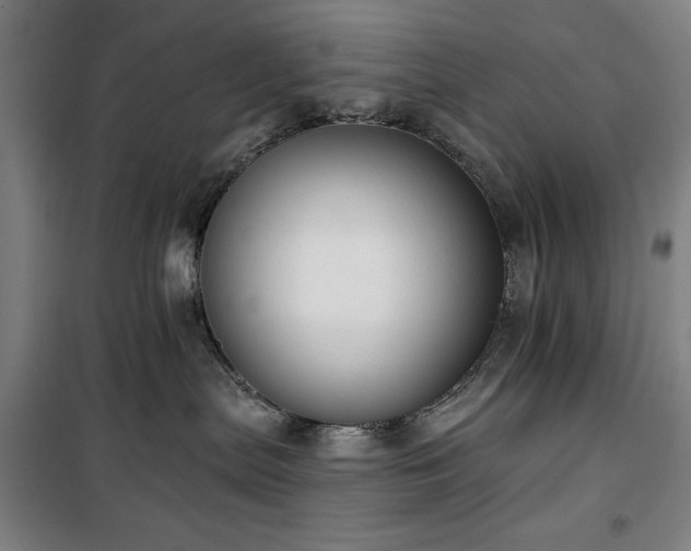 X0000100330287200806051541