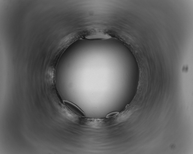 X0000100330288200806051541