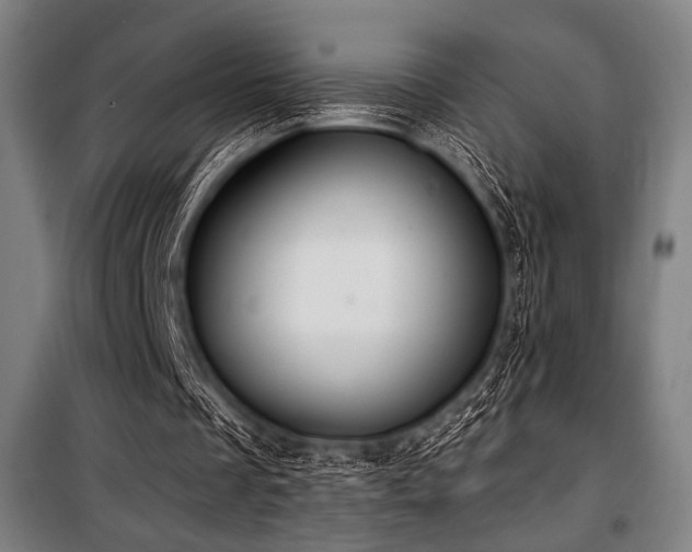 X0000100330289200806051540