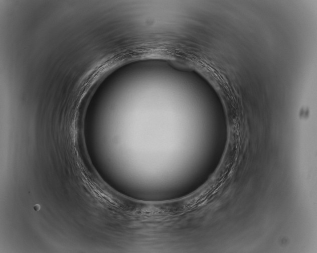 X0000100330290200806051540