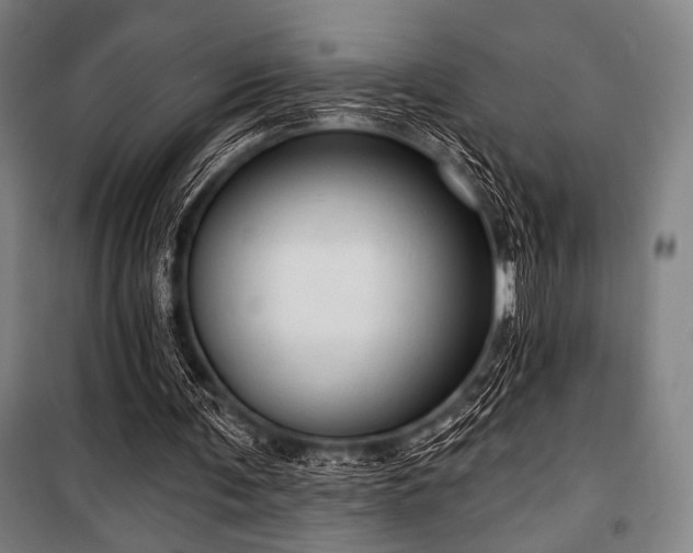 X0000100330291200806051540