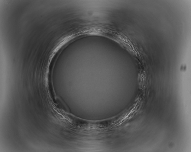 X0000100330292200806051540