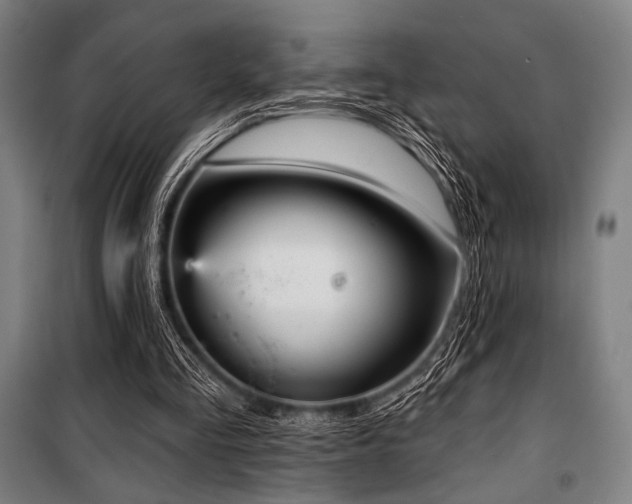 X0000100330293200806051540