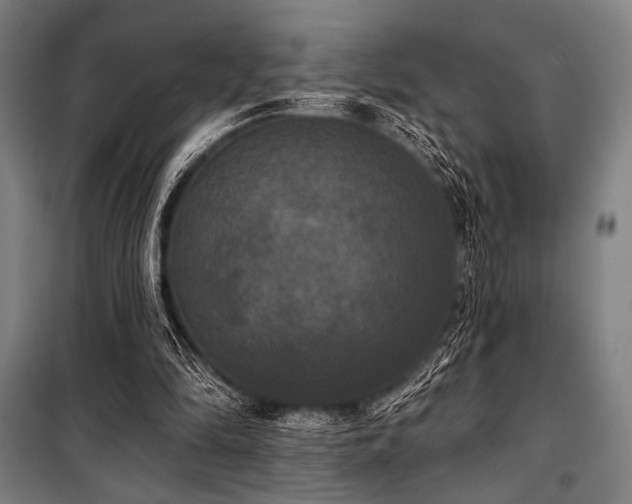 X0000100330294200806051540