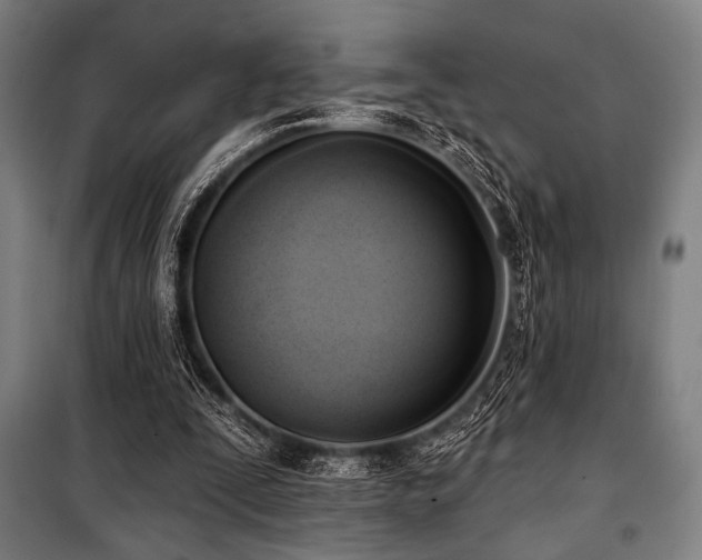 X0000100330295200806051540