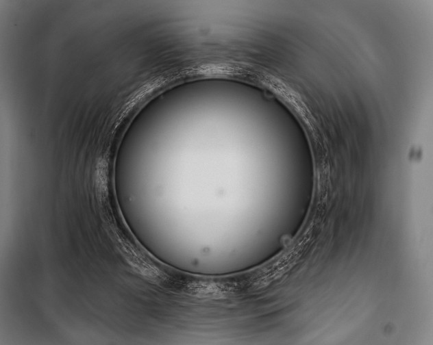 X0000100330297200806051540