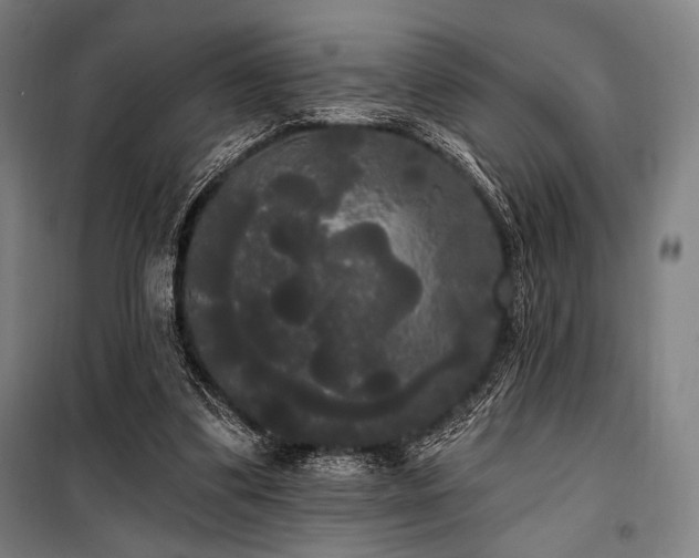 X0000100330299200806051540