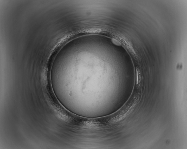 X0000100330300200806051540