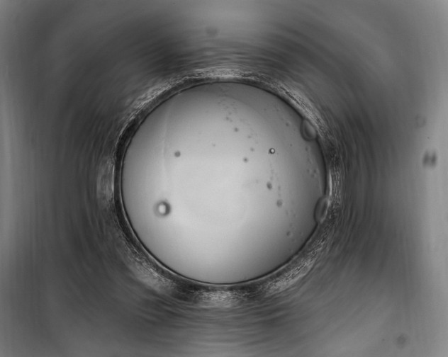 X0000100330301200806051540