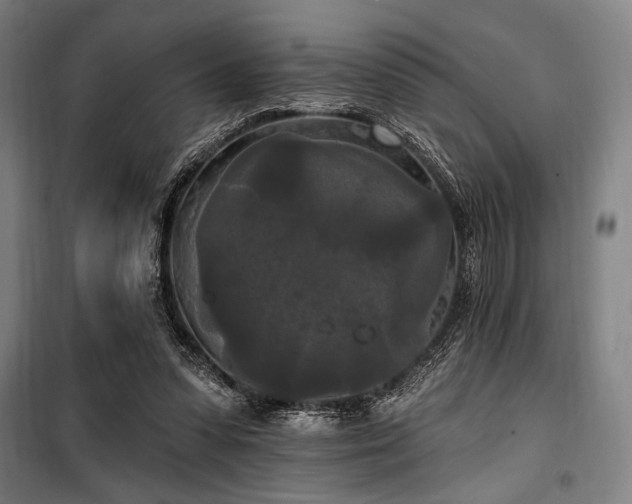 X0000100330303200806051540